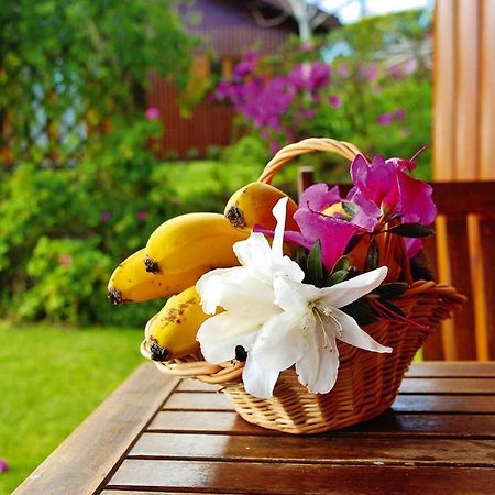 Holiday Homes Quinta Dos Curubas, Vila Franca Do Campo, Sao Miguel, Azores מראה חיצוני תמונה