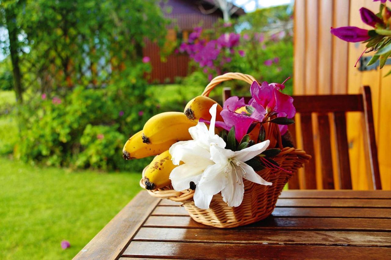 Holiday Homes Quinta Dos Curubas, Vila Franca Do Campo, Sao Miguel, Azores מראה חיצוני תמונה