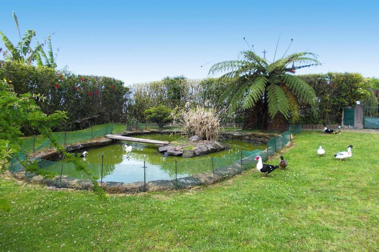 Holiday Homes Quinta Dos Curubas, Vila Franca Do Campo, Sao Miguel, Azores מראה חיצוני תמונה