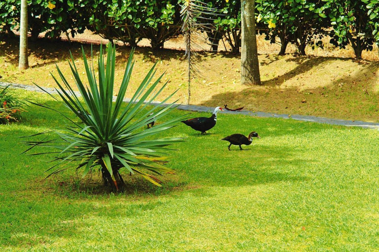 Holiday Homes Quinta Dos Curubas, Vila Franca Do Campo, Sao Miguel, Azores מראה חיצוני תמונה