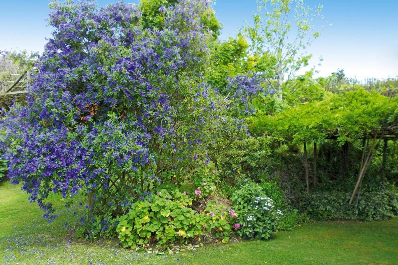 Holiday Homes Quinta Dos Curubas, Vila Franca Do Campo, Sao Miguel, Azores מראה חיצוני תמונה